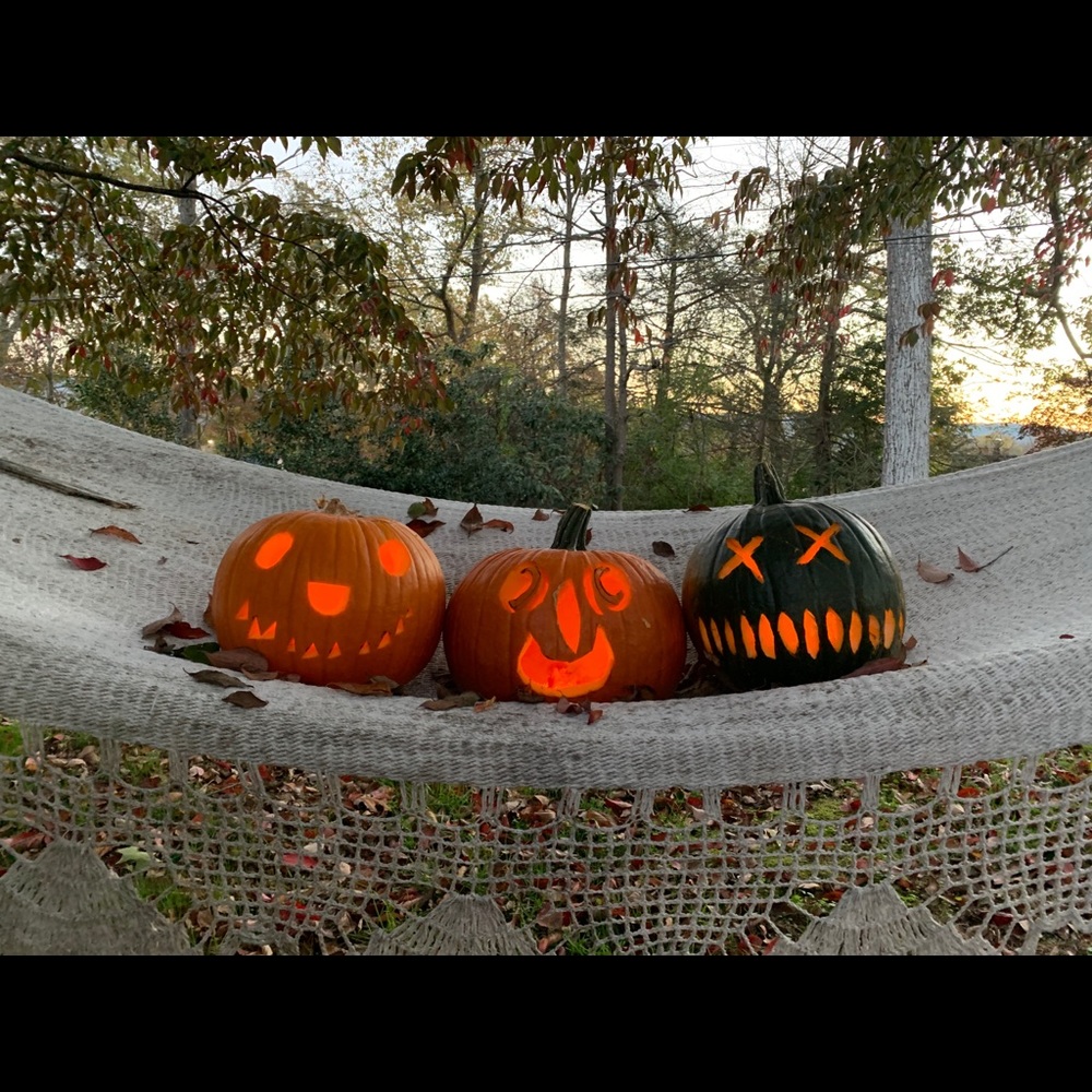 Meet your Posher, Margo